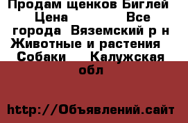 Продам щенков Биглей › Цена ­ 15 000 - Все города, Вяземский р-н Животные и растения » Собаки   . Калужская обл.